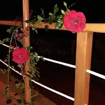 La Casita Nyaraló *