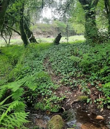 Ferienhaus La Casita Sanxenxo