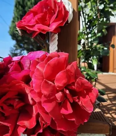 La Casita Holiday home