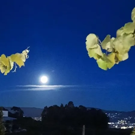 Ferienhaus La Casita