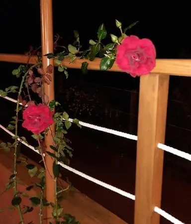 La Casita Ferienhaus *