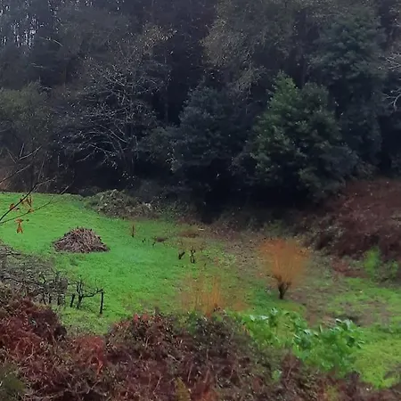 Ferienhaus La Casita