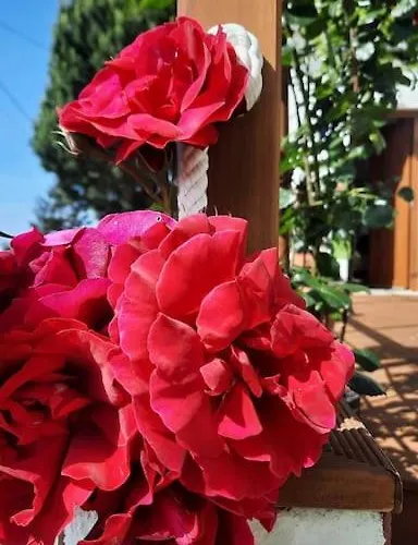 La Casita Ferienhaus