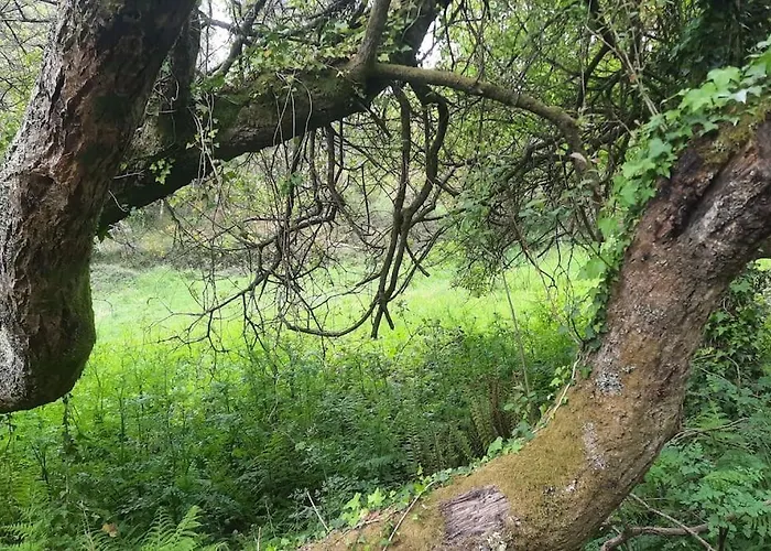 La Casita Ferienhaus *