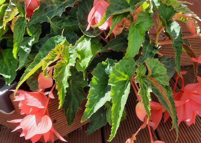 La Casita Сasa de vacaciones Sanxenxo