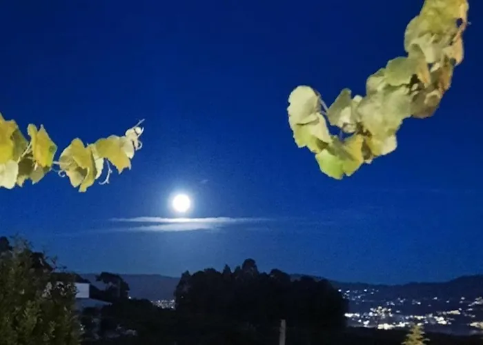 Ferienhaus La Casita