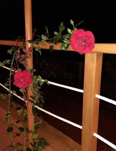 La Casita Сasa de vacaciones *