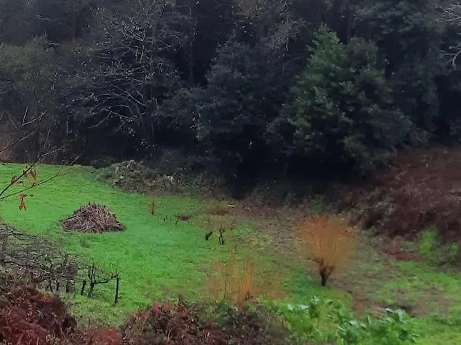 Ferienhaus La Casita